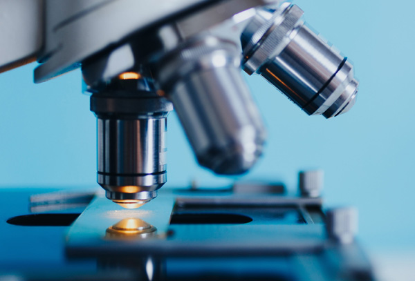 河南省工業和信息化廳第二批專精特新“小巨人”企業名單 